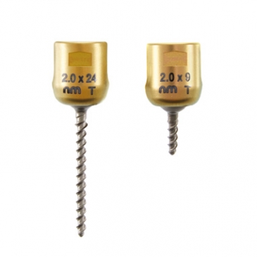 2.0mm Dual Lead Pedicle Screw