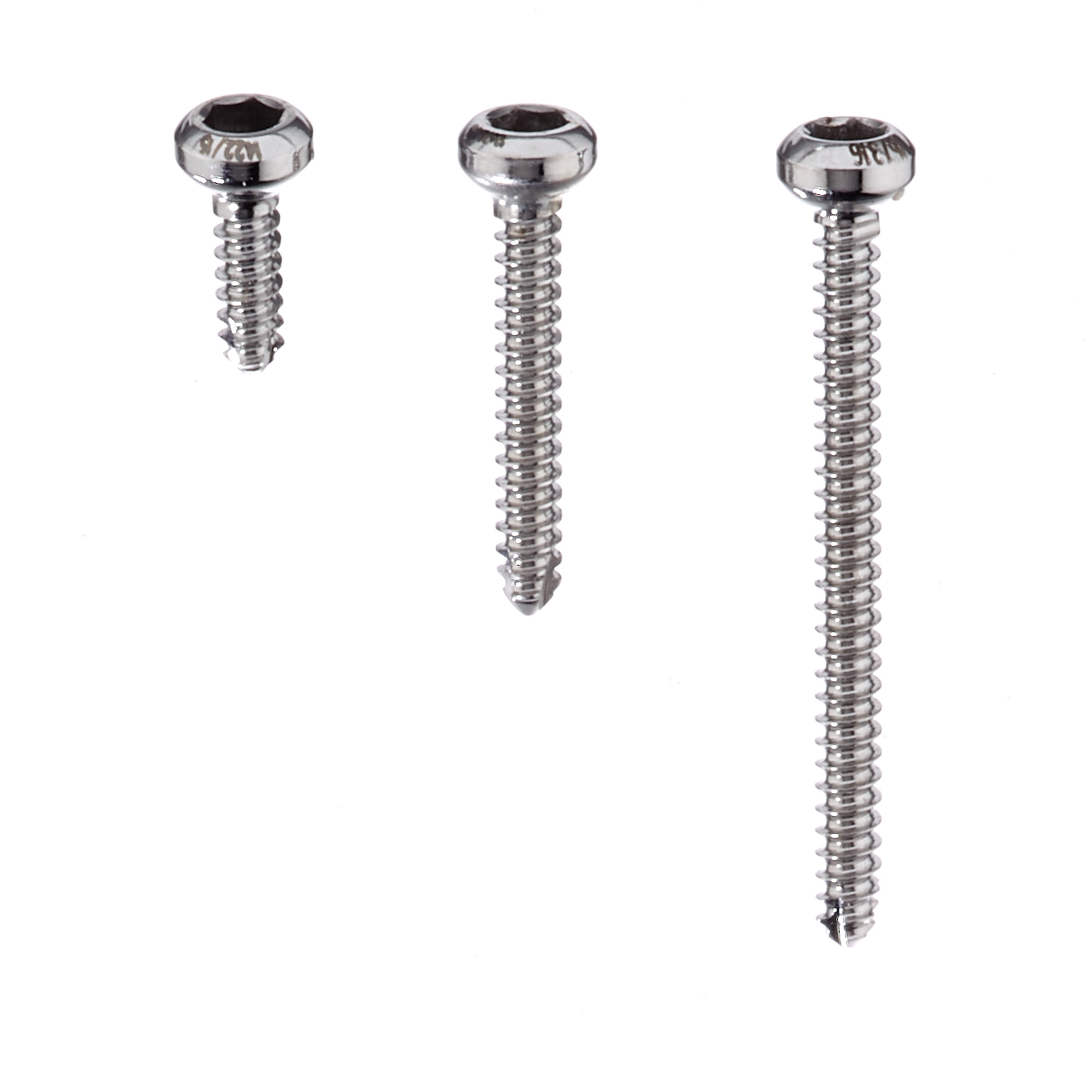 Stainless Steel Self Tapping Screws